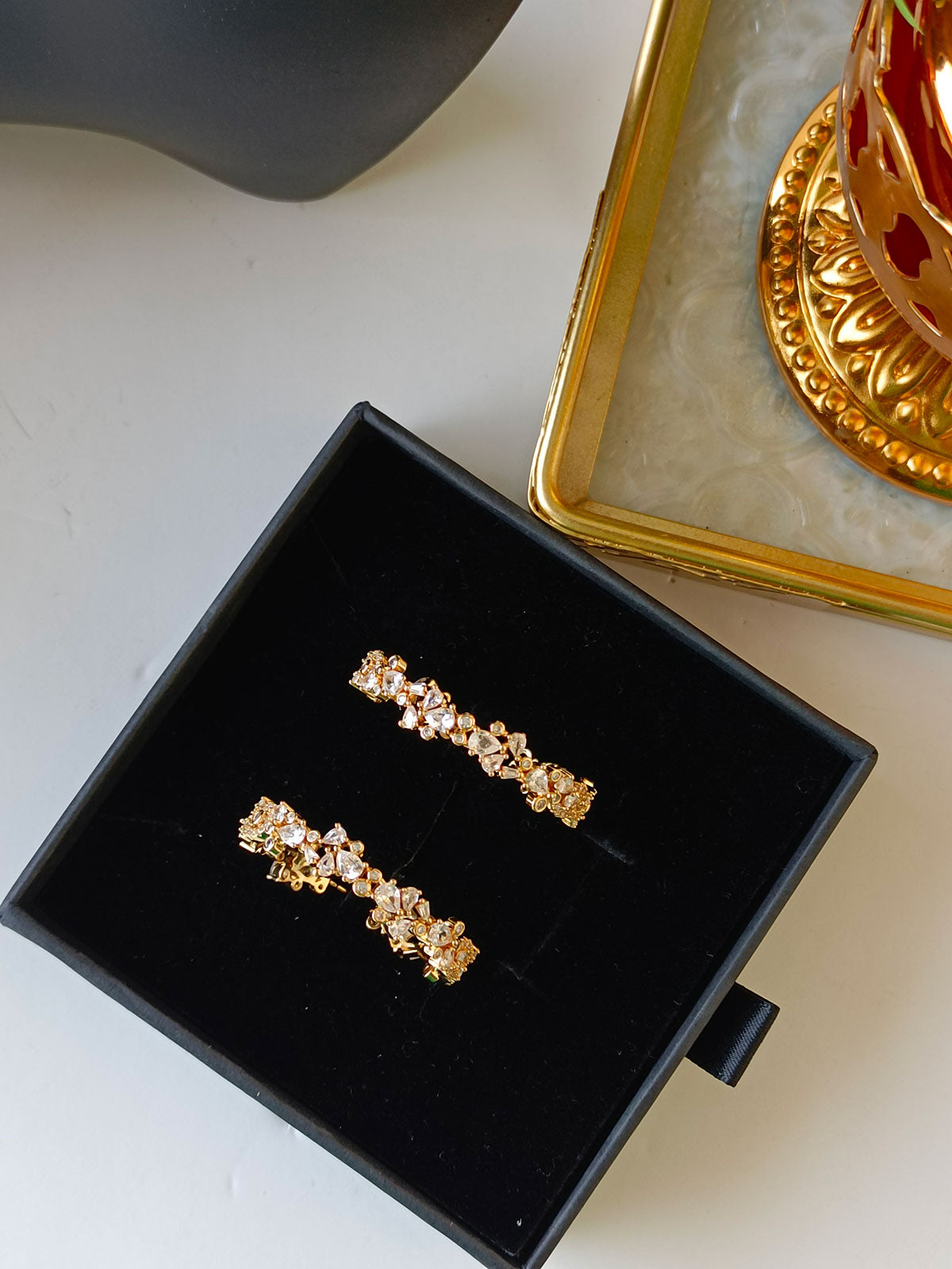 Zircon studded earrings