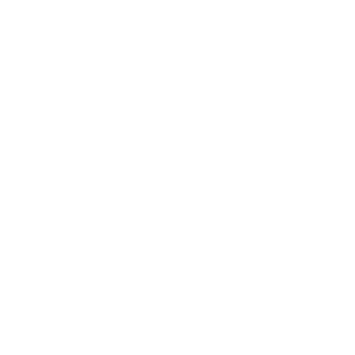 Noor Zara